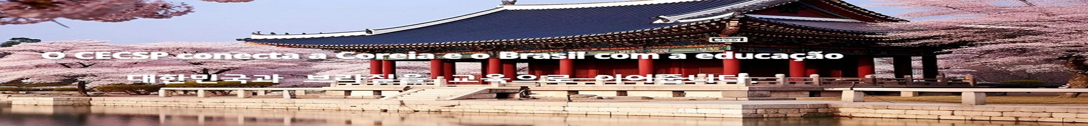 주상파울루한국교육원